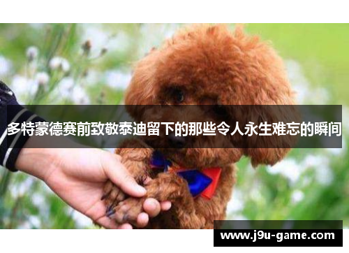 多特蒙德赛前致敬泰迪留下的那些令人永生难忘的瞬间