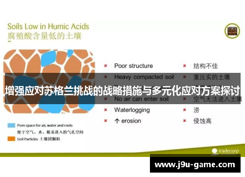 增强应对苏格兰挑战的战略措施与多元化应对方案探讨